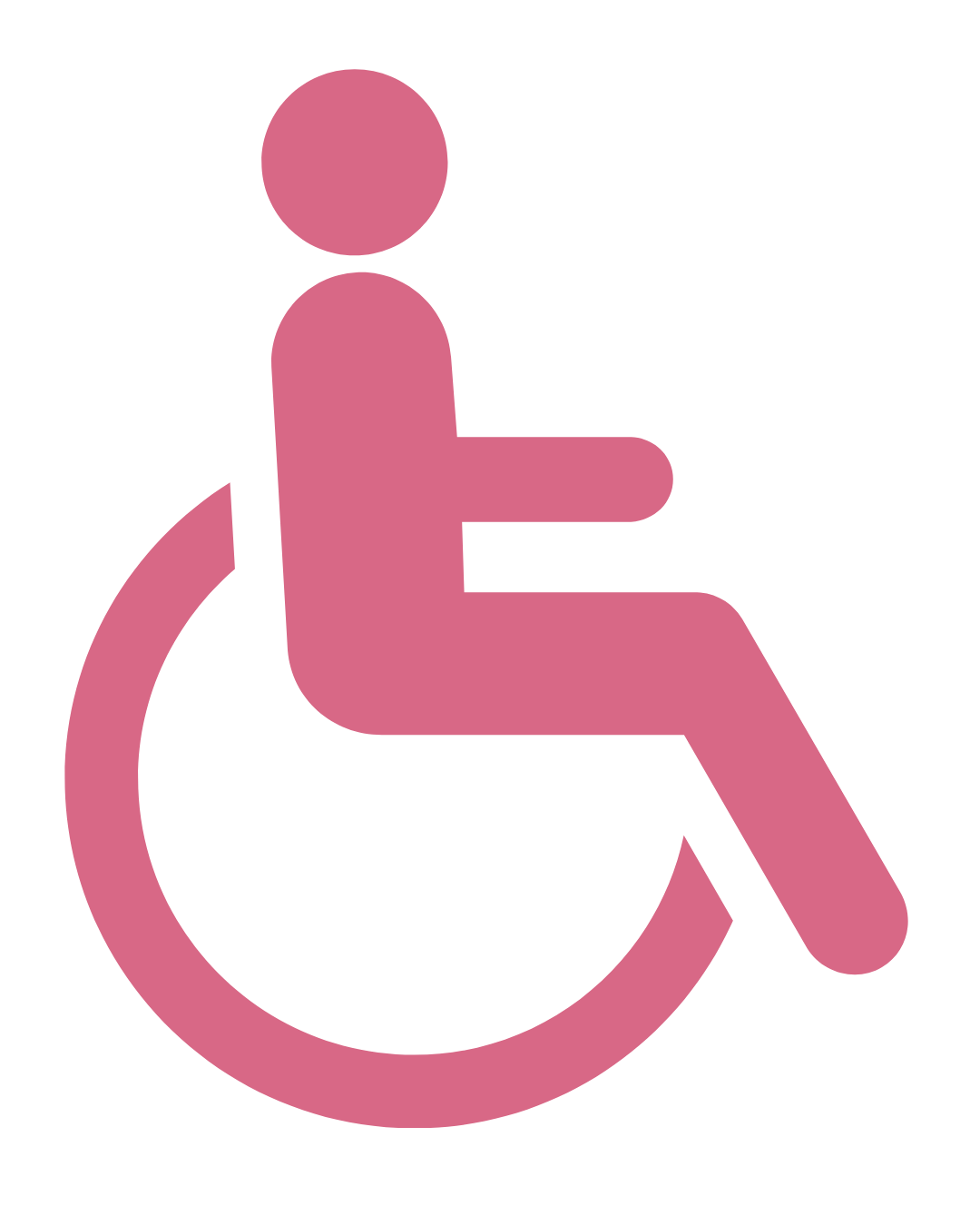 Shopper Bus Icon Accessibility